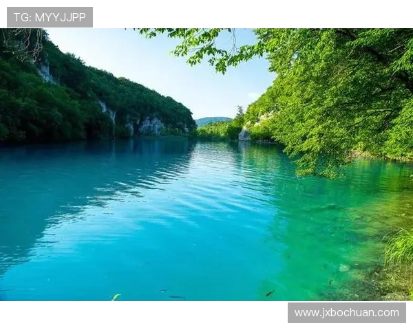 从惊涛骇浪到优雅入水探秘跳水运动背后的力量与艺术